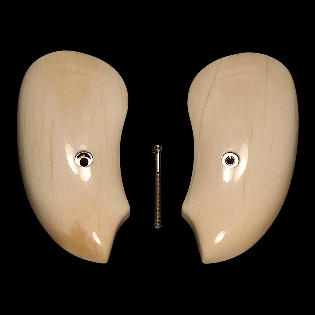 Genuine Giraffe Bone Extended Bond Arms Derringer Grips #2