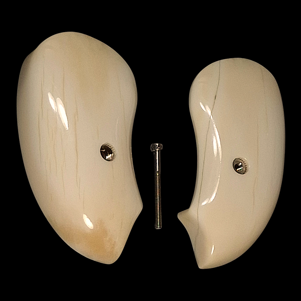 Genuine Giraffe Bone Extended Bond Arms Derringer Grips #2