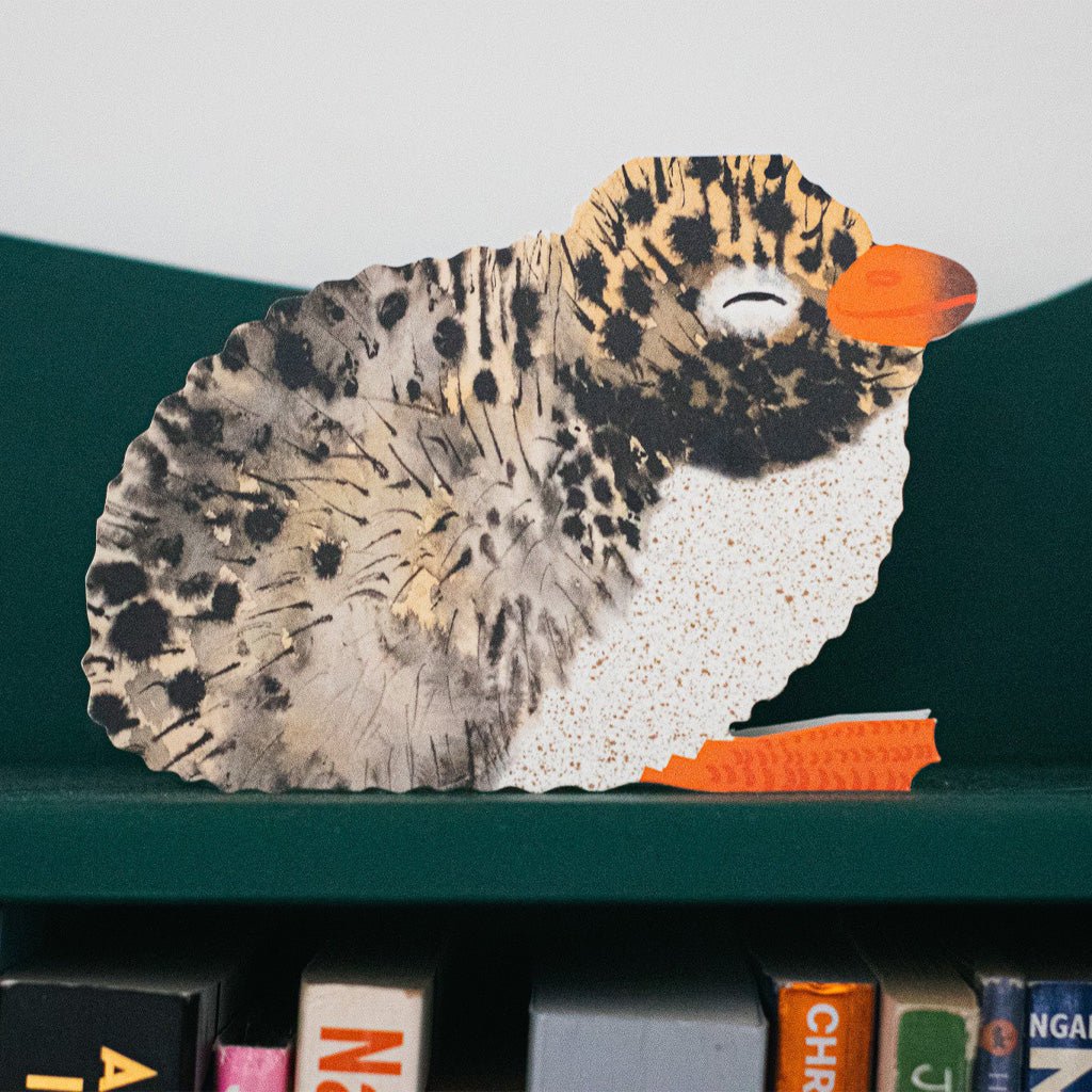 Arctic Tern Chick Card