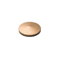Brass Paper Weight