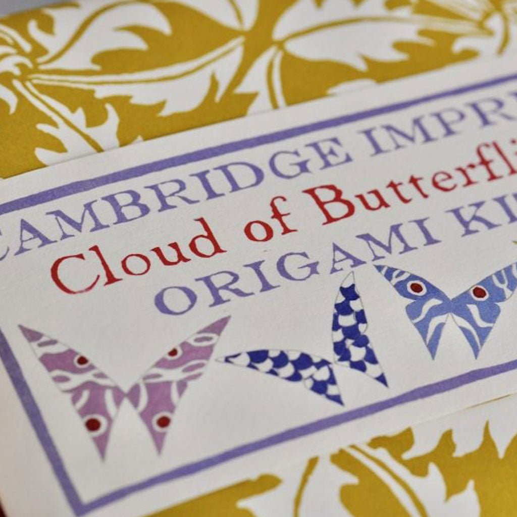 Cloud of Butterflies Origami Kit