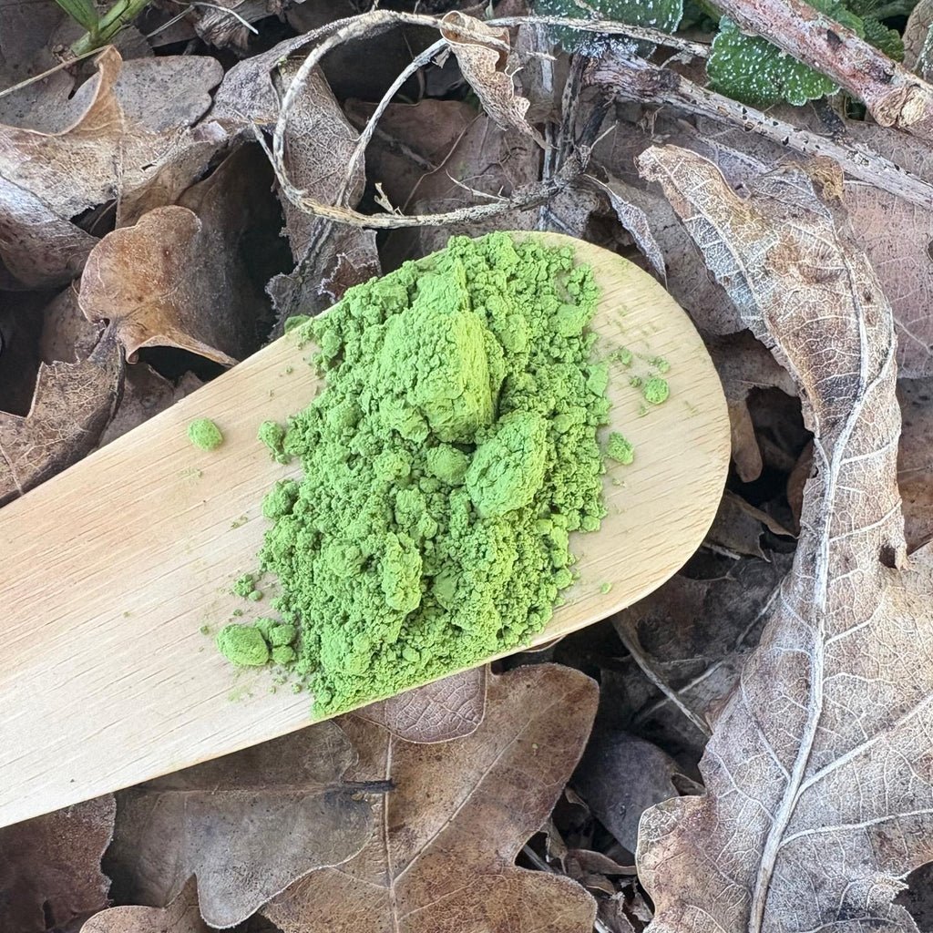 Irie Ceremonial Matcha