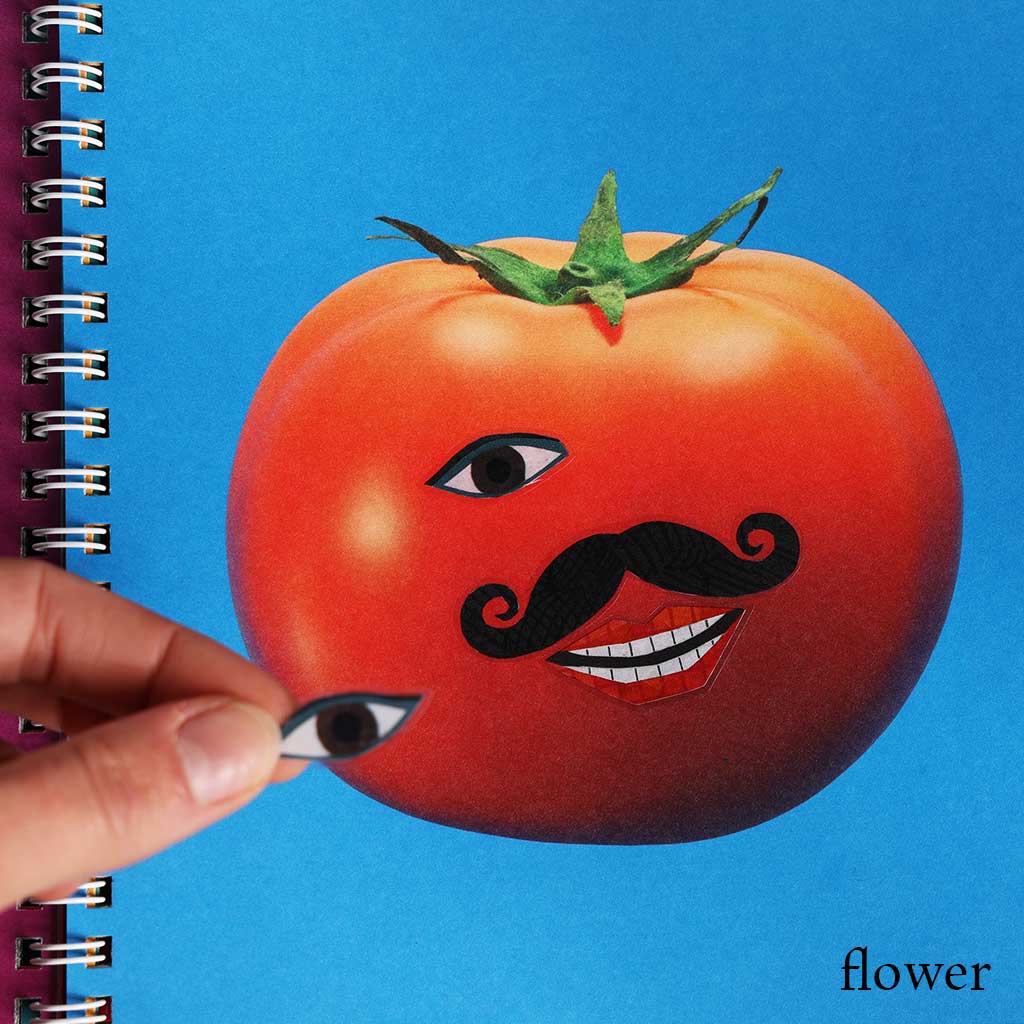 Kokuyo Make Faces Sticker Book