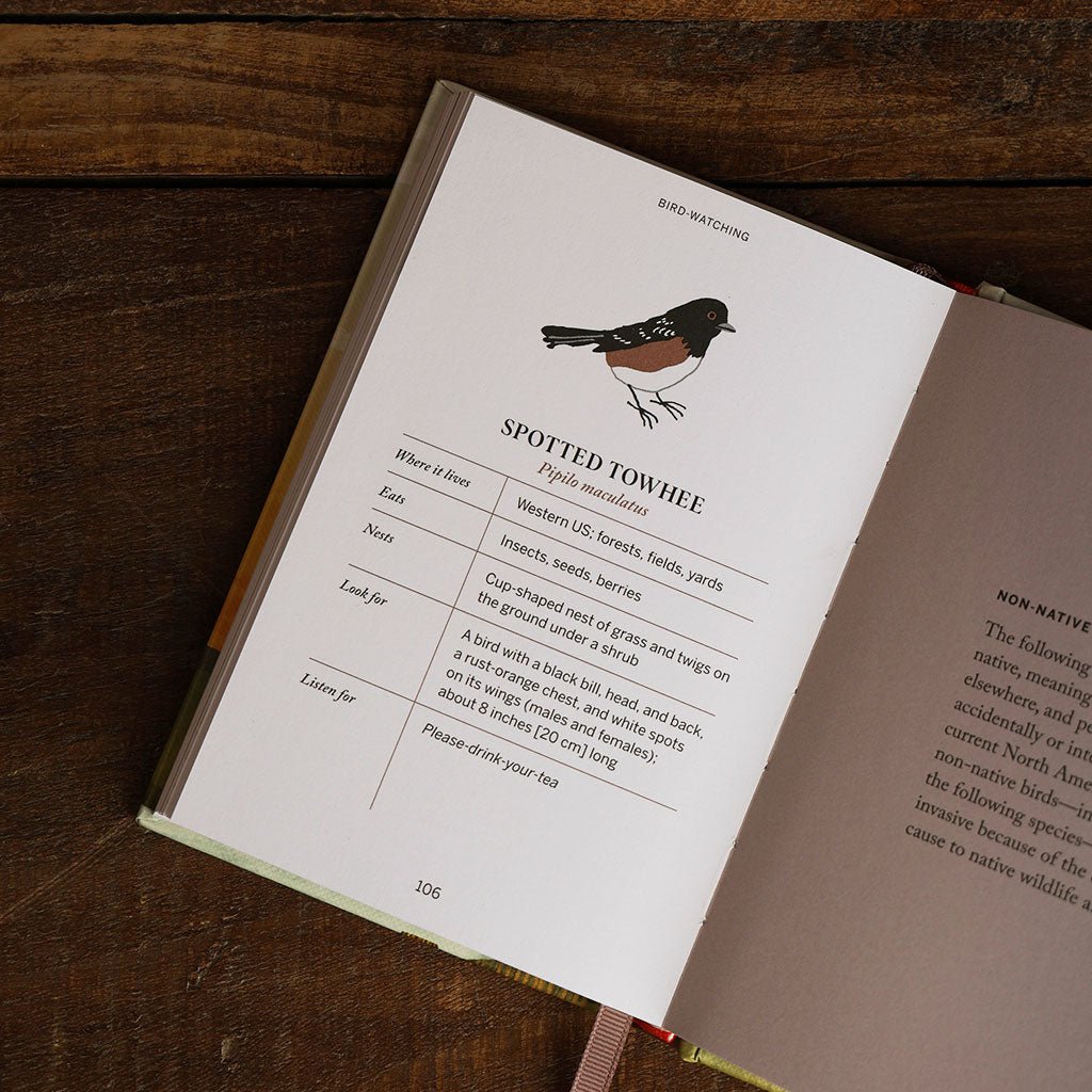 Pocket Nature: Birdwatching