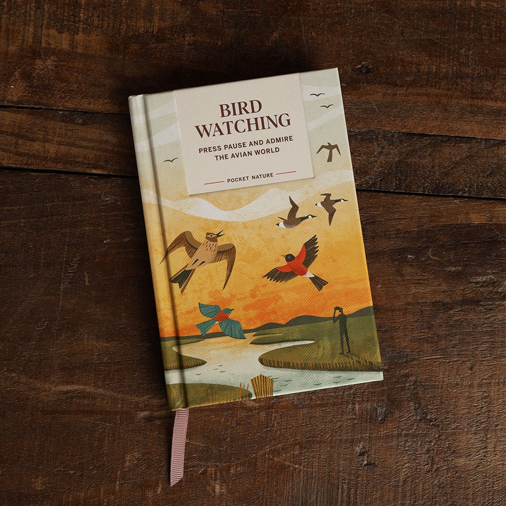 Pocket Nature: Birdwatching
