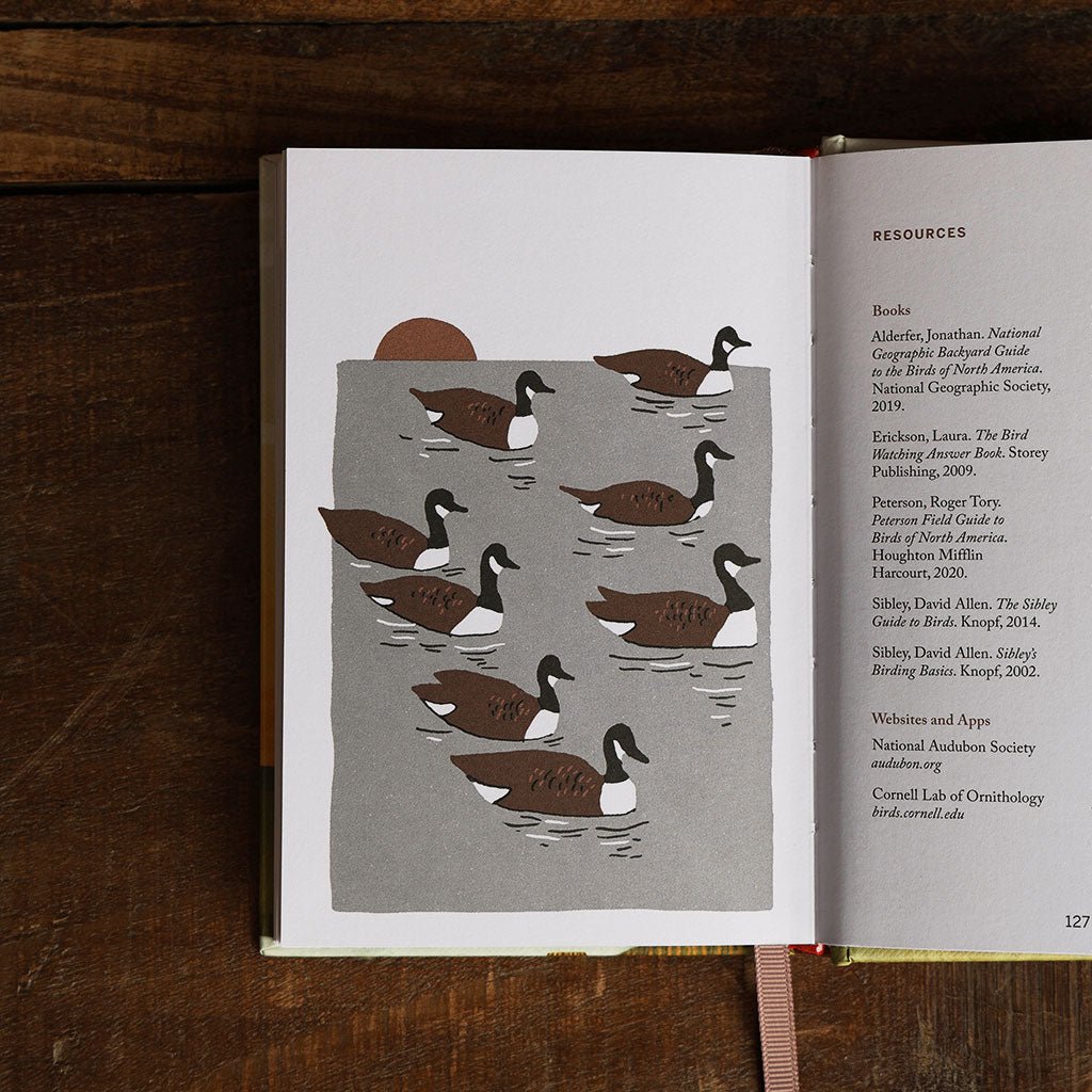 Pocket Nature: Birdwatching