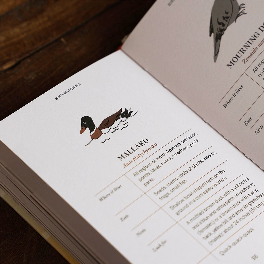 Pocket Nature: Birdwatching