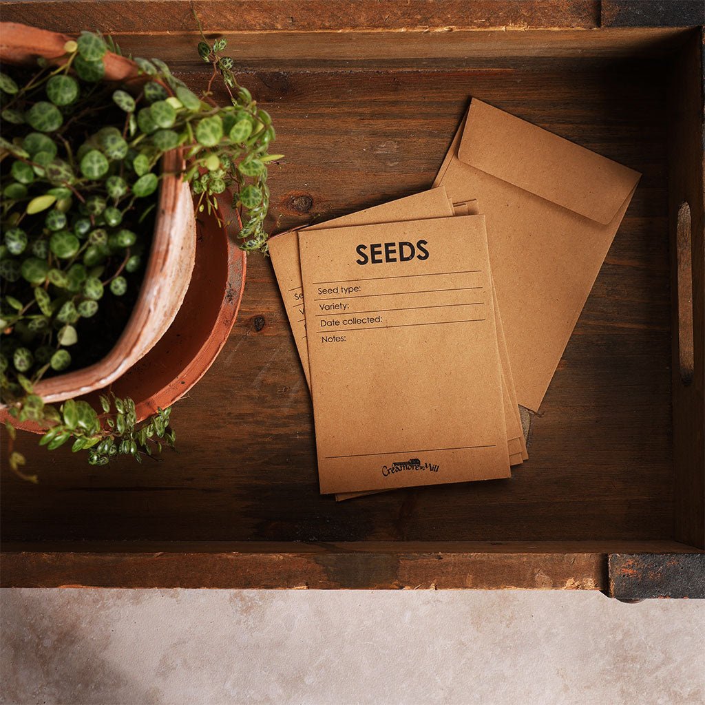 Seed Envelopes