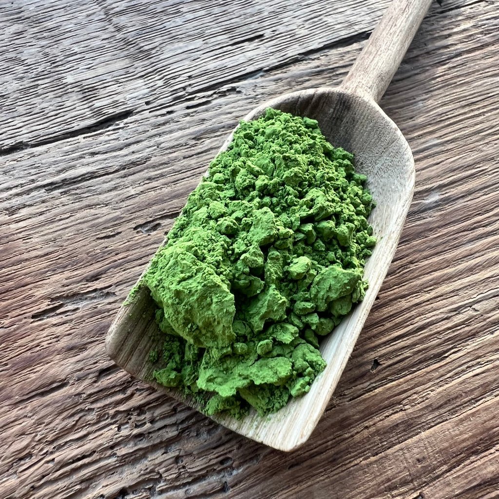 Yuta's Premium Yabukita Matcha